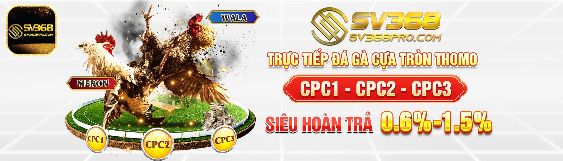 banner sv368pro