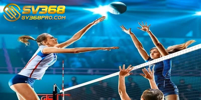 Cá cược thể thao SV368 - Sảnh chơi đầy thú vị và kịch tính 3 Thương hiệu mang đến một môi trường cá cược bóng chuyền lành mạnh