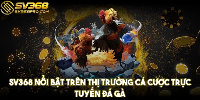 Trang chủ 14 SV368 nổi bật trên thị trường cá cược trực tuyến đá gà