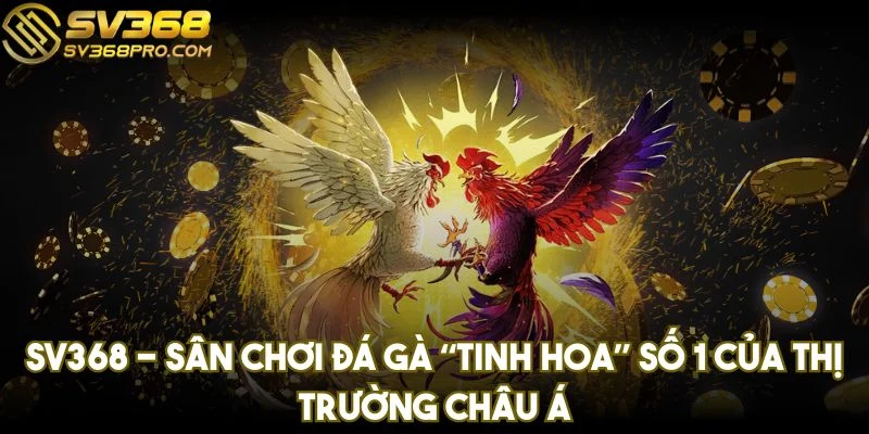 SV368 - Sân chơi đá gà “tinh hoa” số 1 của thị trường châu Á