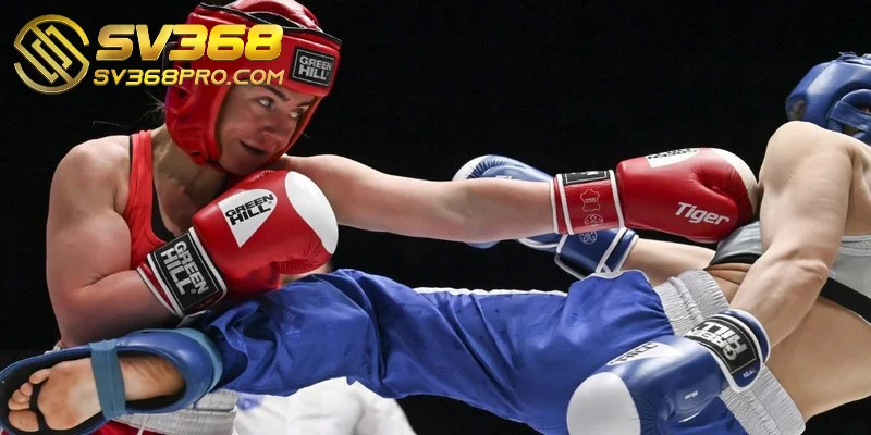 Boxing King - Game giải trí mang đến sự kịch tính, hấp dẫn 4 Các bước cần thực hiện để tham gia trải nghiệm cược Boxing đơn giản