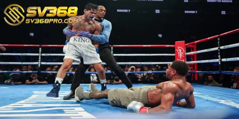 Boxing King - Game giải trí mang đến sự kịch tính, hấp dẫn 3 Một số quy định cược Boxing SV368 cần biết